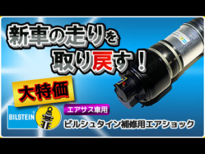 ビルシュタインショック